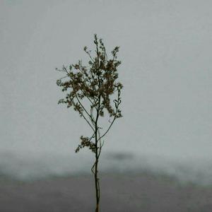 OTK实践狠揍外网
